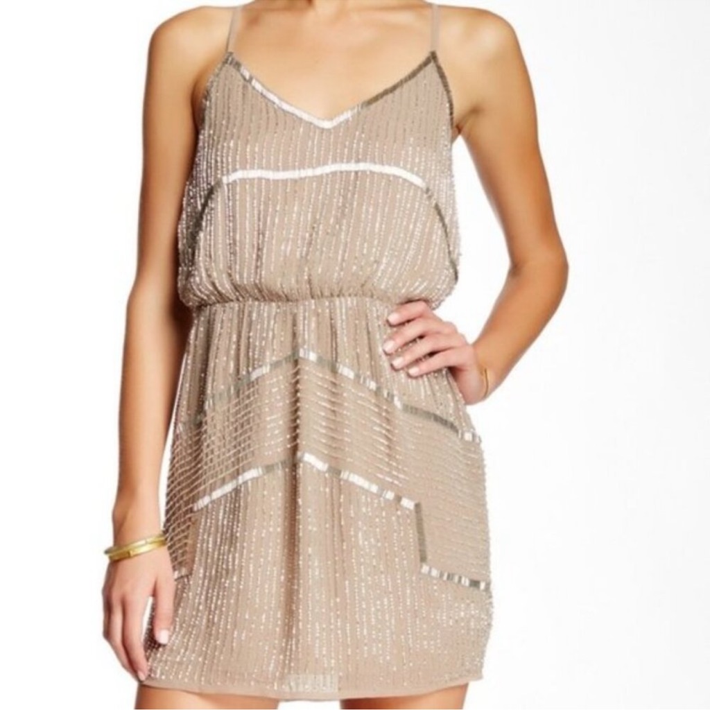 Walter Baker Tan Pleated Mini Dress